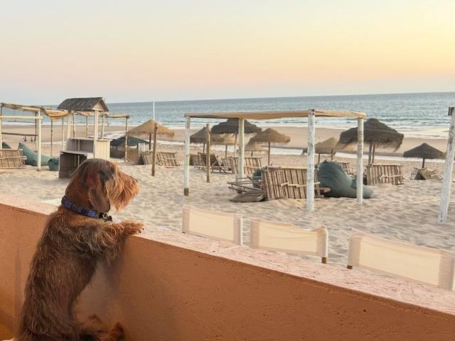 INHA BEACH - Restaurante 